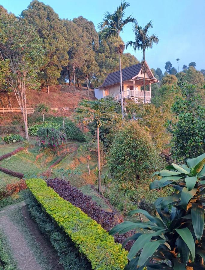 Bed and Breakfast Garden Terrace Bali Gobleg  Экстерьер фото