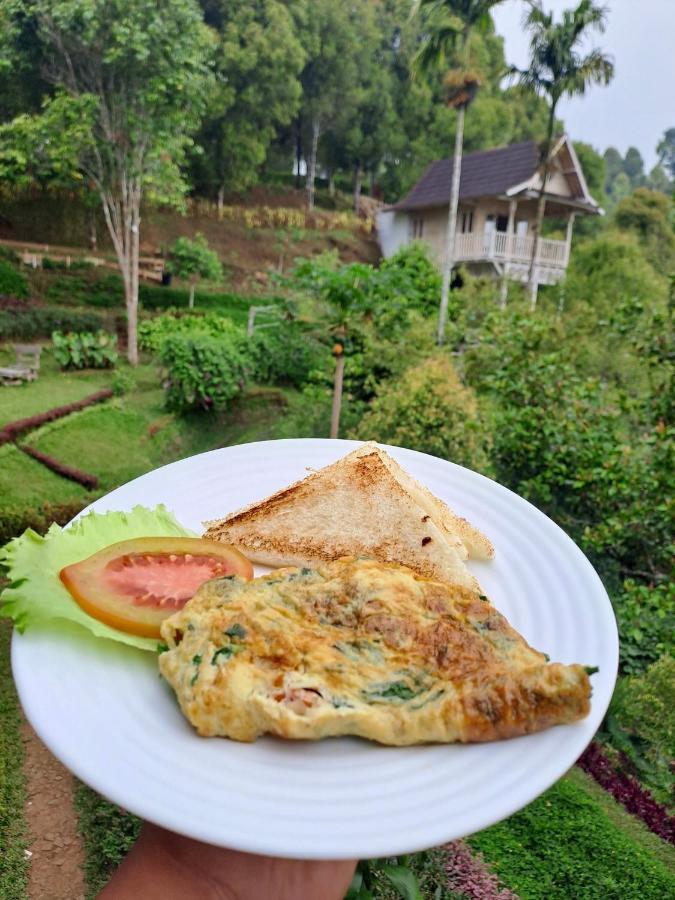 Bed and Breakfast Garden Terrace Bali Gobleg  Экстерьер фото