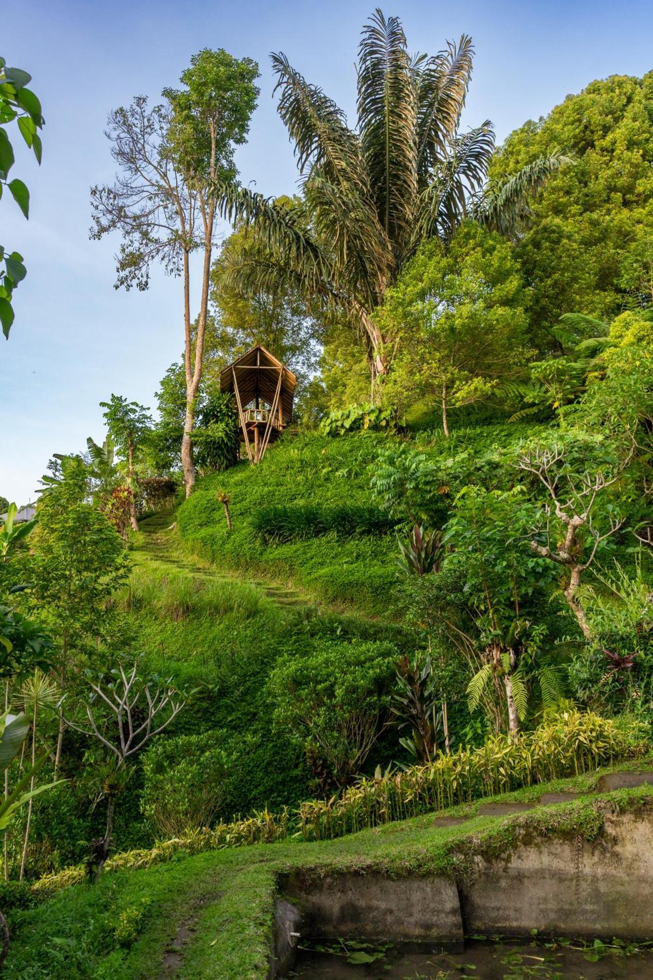 Bed and Breakfast Garden Terrace Bali Gobleg  Экстерьер фото