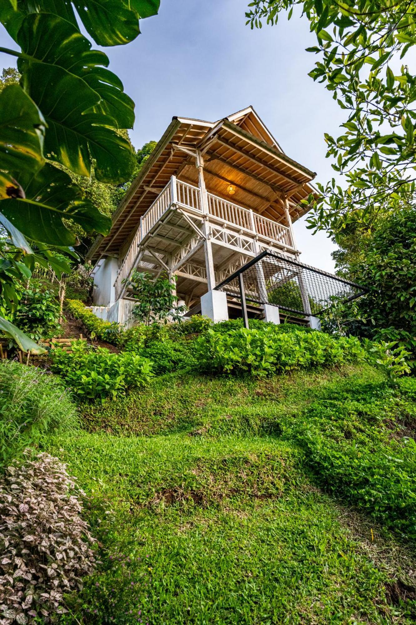 Bed and Breakfast Garden Terrace Bali Gobleg  Экстерьер фото